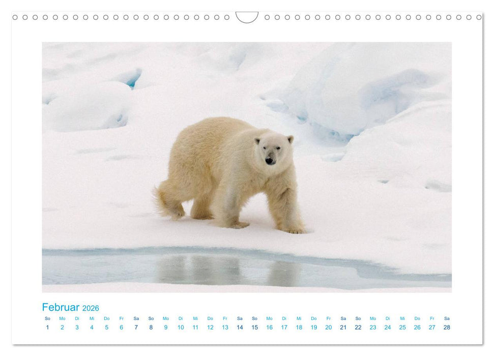 Spitzbergen - Landschaft - Eis - Tierwelt (CALVENDO Wandkalender 2026)