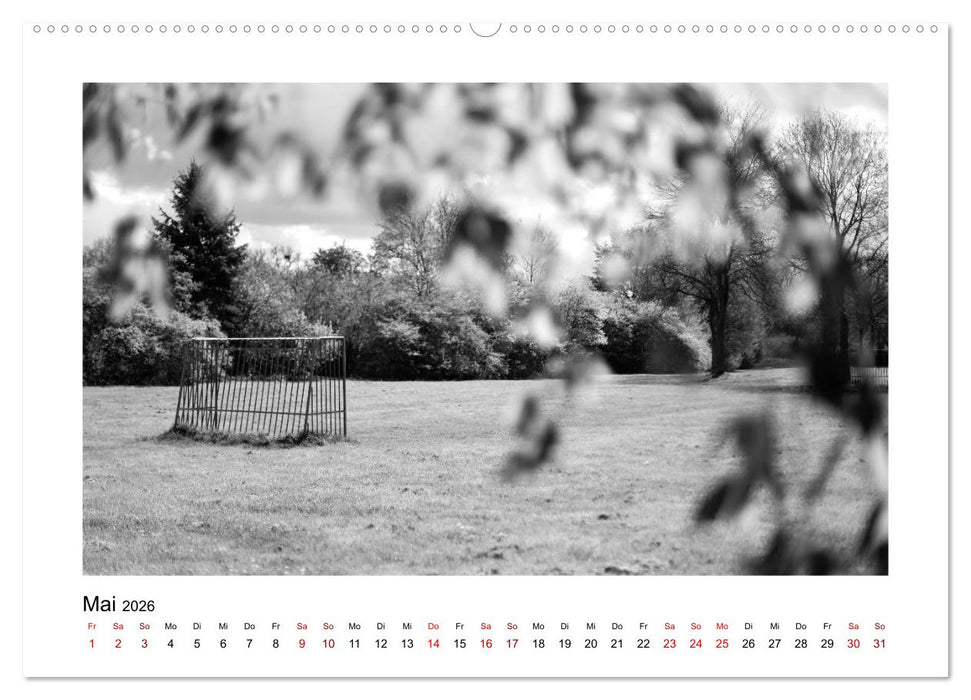 Köln-Höhenhaus heute (CALVENDO Wandkalender 2026)