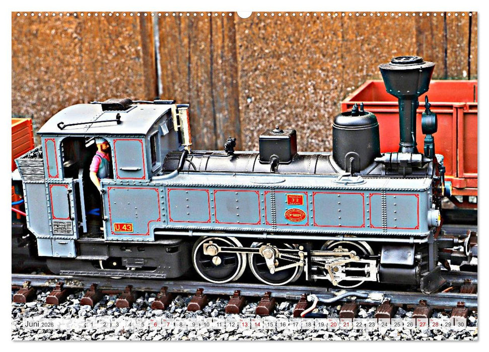 Modell-Lokomotiven beim Dampfmodellbau - Treffen in Bisingen (CALVENDO Premium Wandkalender 2026)
