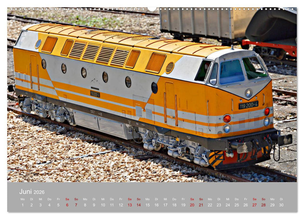 Modell-Lokomotiven beim Dampfmodellbautreffen in Bisingen (CALVENDO Premium Wandkalender 2026)