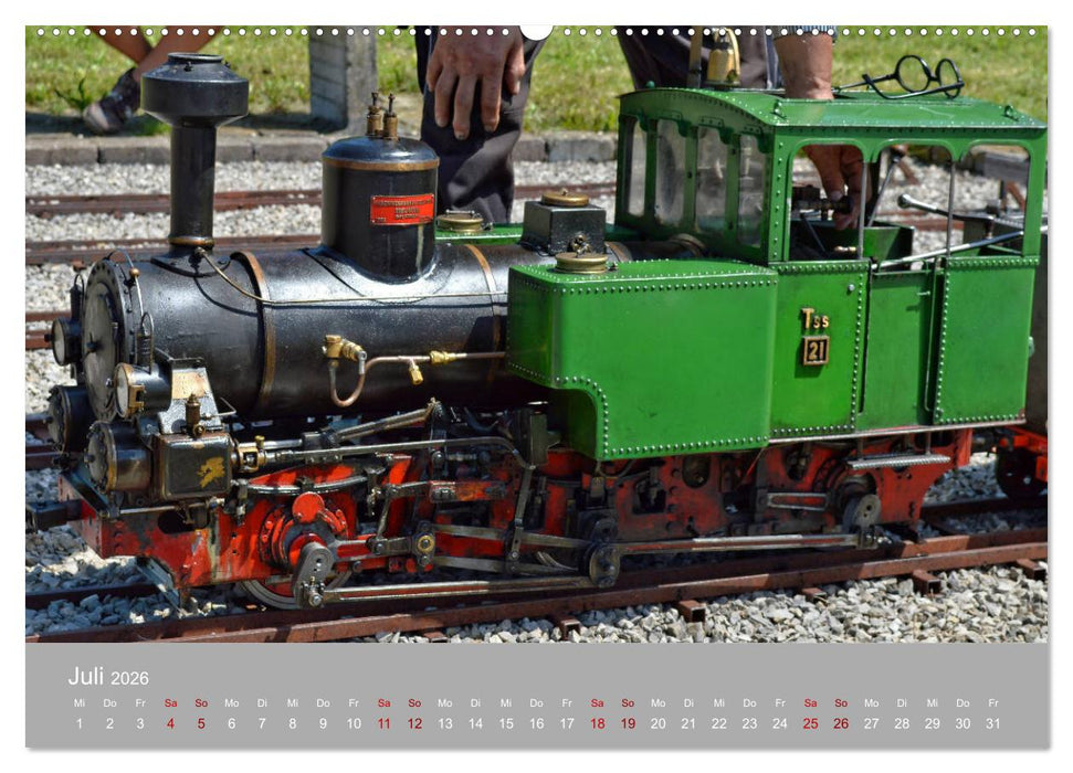 Modell-Lokomotiven beim Dampfmodellbautreffen in Bisingen (CALVENDO Premium Wandkalender 2026)