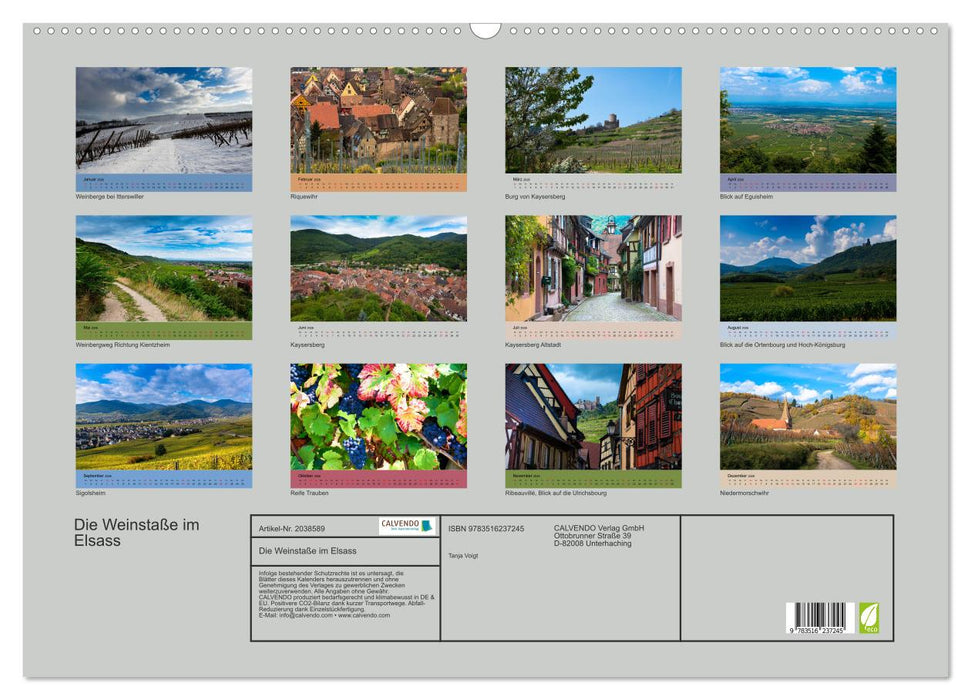 Die Weinstaße im Elsass (CALVENDO Wandkalender 2026)