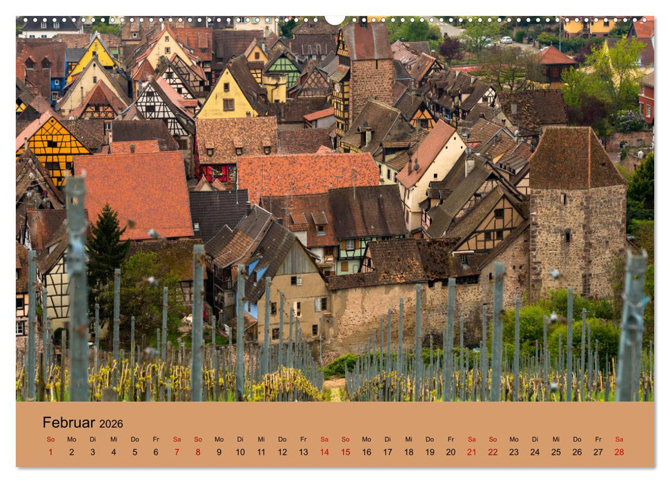 Die Weinstaße im Elsass (CALVENDO Wandkalender 2026)