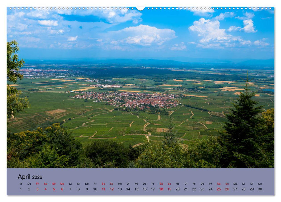 Die Weinstaße im Elsass (CALVENDO Wandkalender 2026)