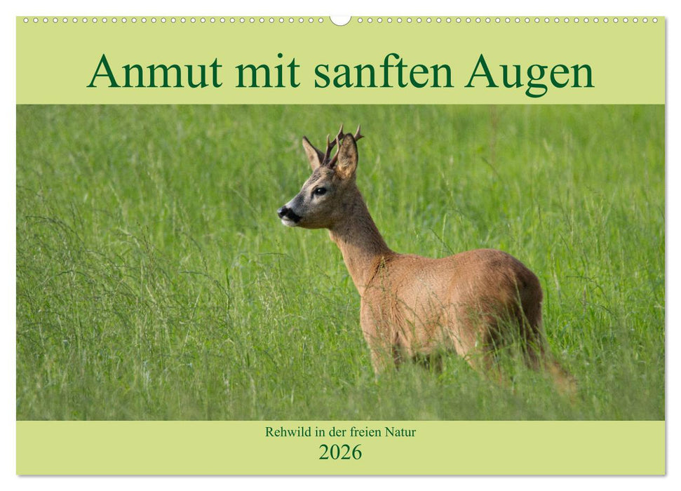 Anmut mit sanften Augen - Rehwild in der freien Natur (CALVENDO Wandkalender 2026)