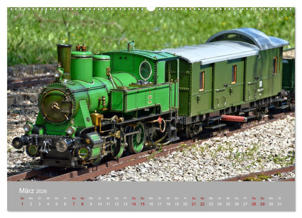 Modell-Lokomotiven beim Dampfmodellbautreffen in Bisingen (CALVENDO Wandkalender 2026)