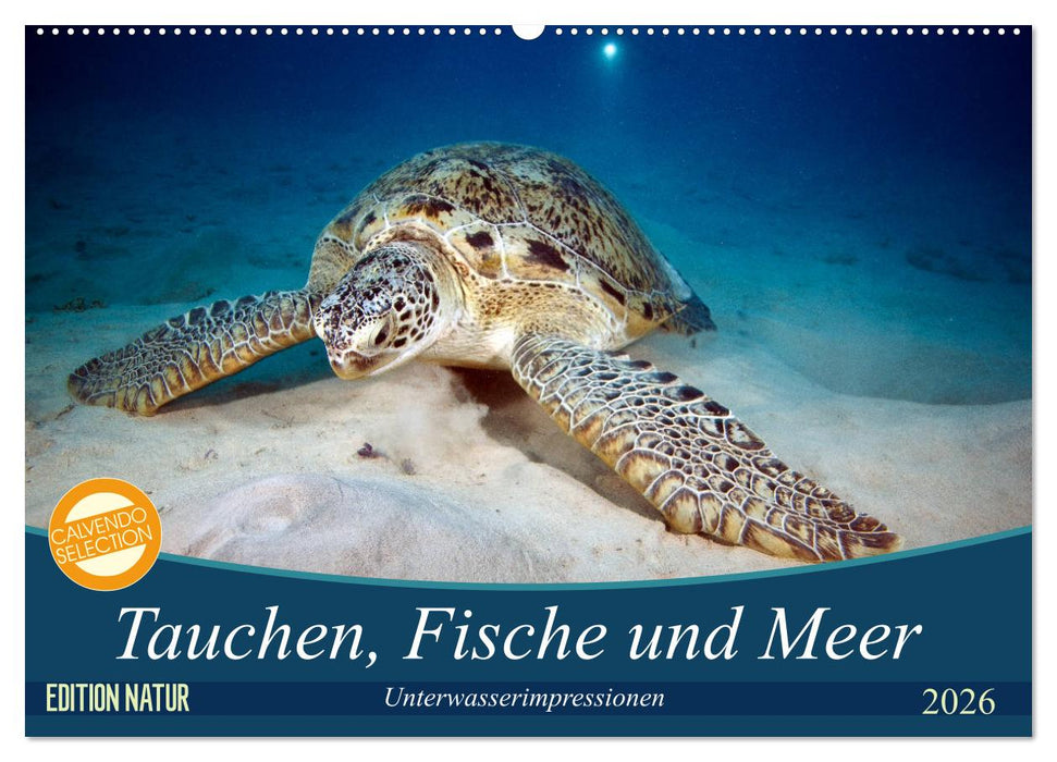 Tauchen, Fische und Meer (CALVENDO Wandkalender 2026)