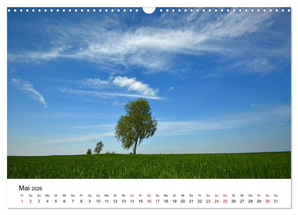 Tollense Landschaften (CALVENDO Wandkalender 2026)