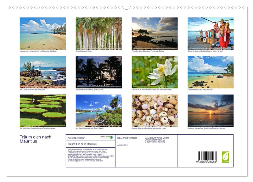 Träum dich nach Mauritius (CALVENDO Premium Wandkalender 2026)