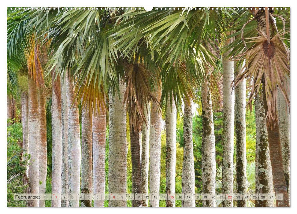 Träum dich nach Mauritius (CALVENDO Premium Wandkalender 2026)