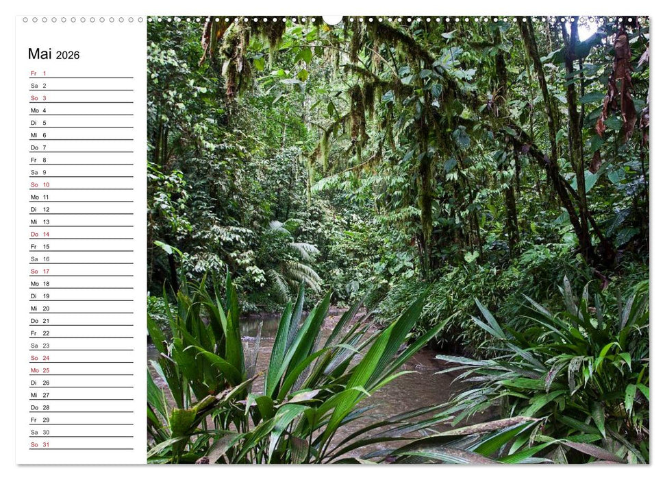 Kolumbien Impressionen (CALVENDO Wandkalender 2026)