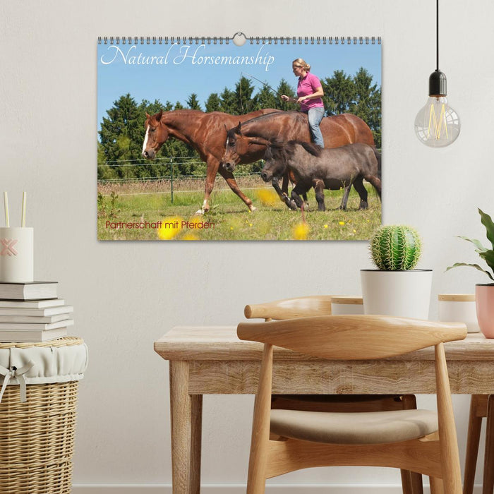 Natural Horsemanship - Partnerschaft mit Pferden (CALVENDO Wandkalender 2026)