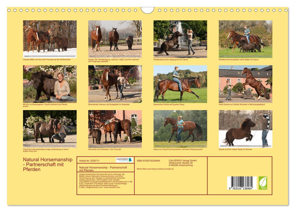 Natural Horsemanship - Partnerschaft mit Pferden (CALVENDO Wandkalender 2026)