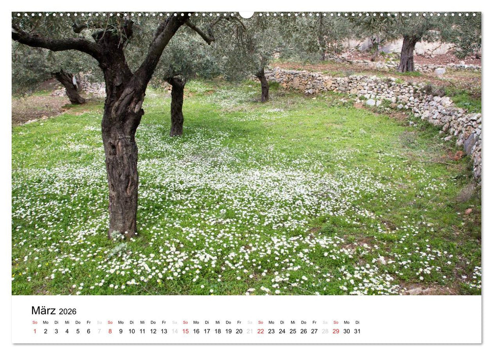 Alónnisos, Skiáthos, Skópelos (CALVENDO Premium Wandkalender 2026)