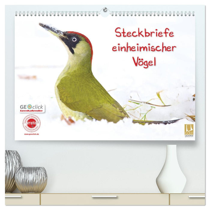 Steckbriefe einheimischer Vögel (CALVENDO Premium Wandkalender 2026)