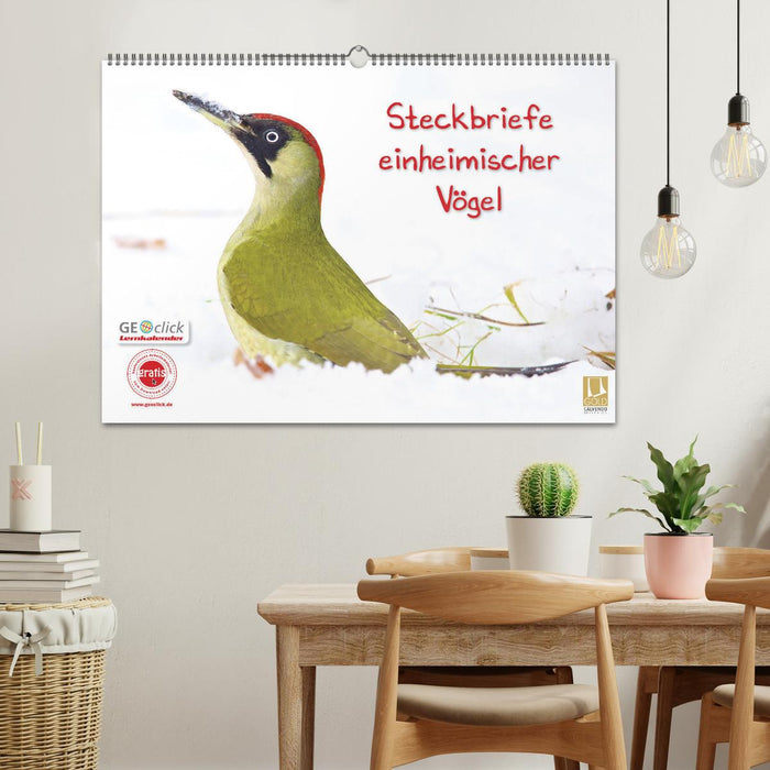 Steckbriefe einheimischer Vögel (CALVENDO Wandkalender 2026)