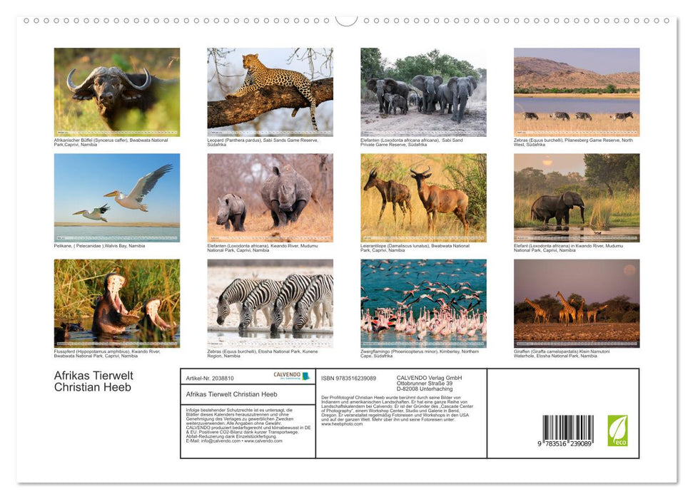 Afrikas Tierwelt Christian Heeb (CALVENDO Premium Wandkalender 2026)