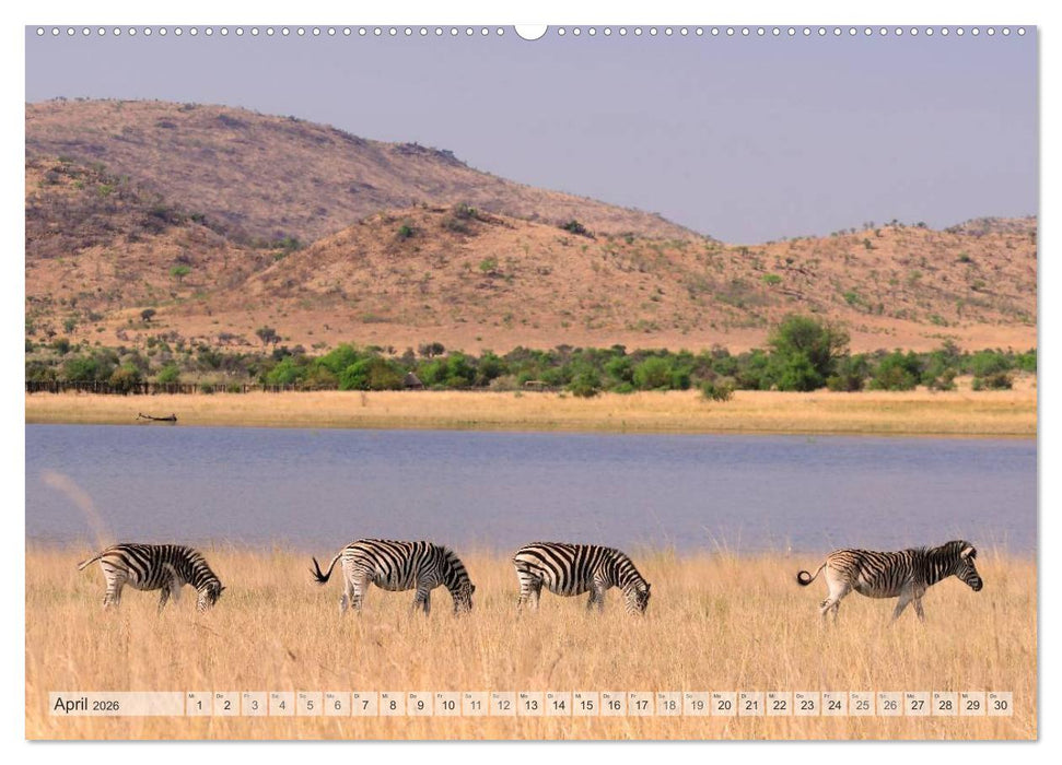 Afrikas Tierwelt Christian Heeb (CALVENDO Wandkalender 2026)