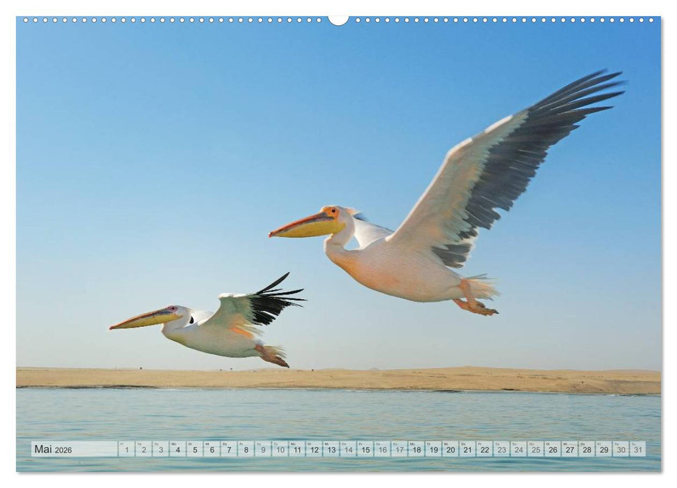 Afrikas Tierwelt Christian Heeb (CALVENDO Wandkalender 2026)