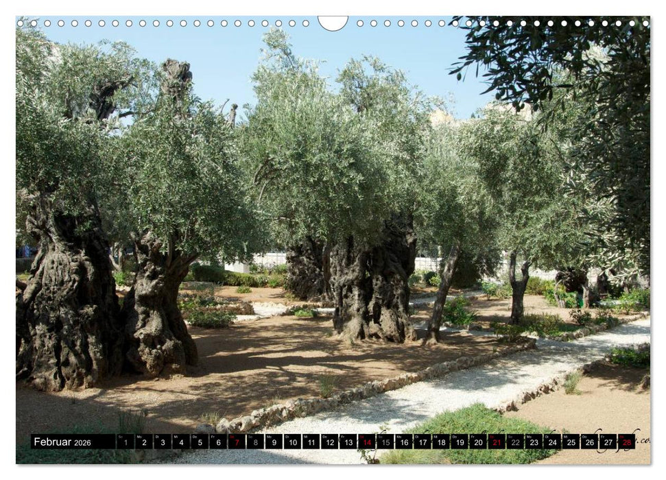 Israel Heute (CALVENDO Wandkalender 2026)