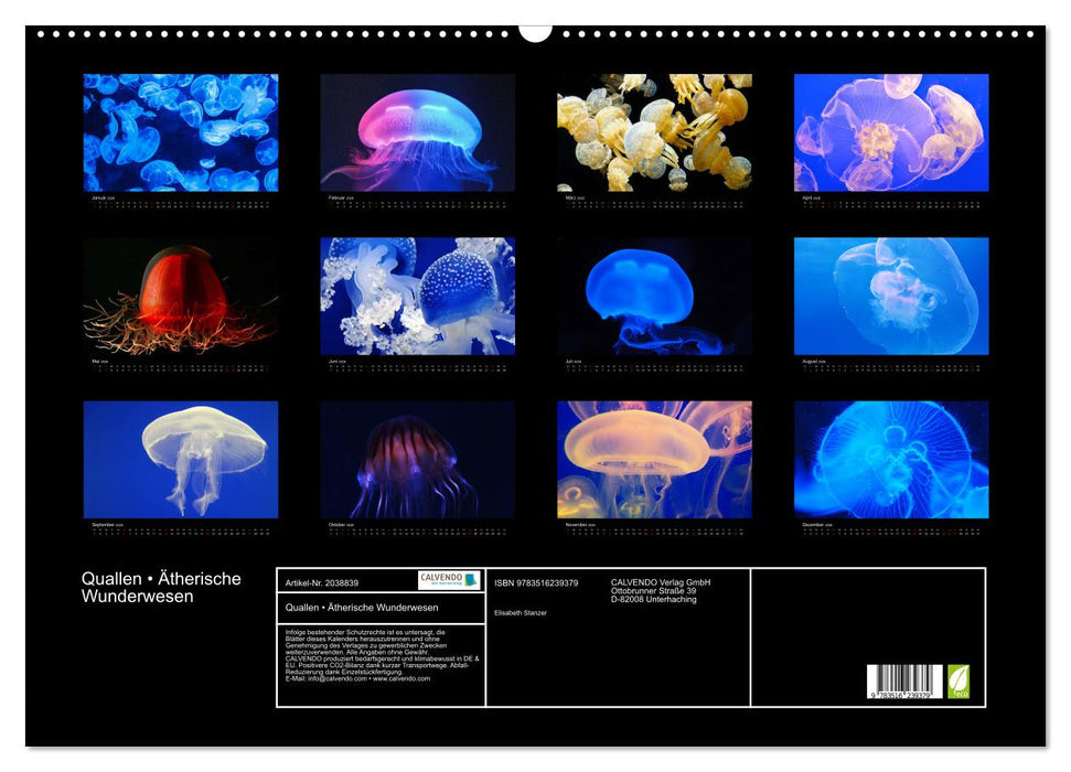 Quallen • Ätherische Wunderwesen (CALVENDO Wandkalender 2026)