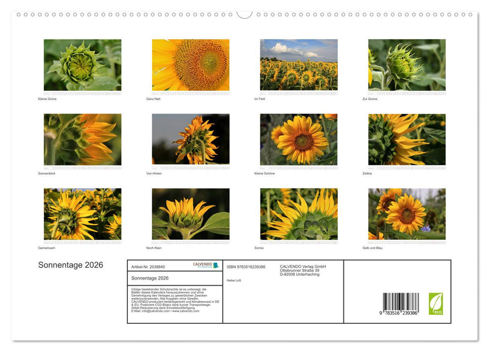 Sonnentage 2026 (CALVENDO Premium Wandkalender 2026)