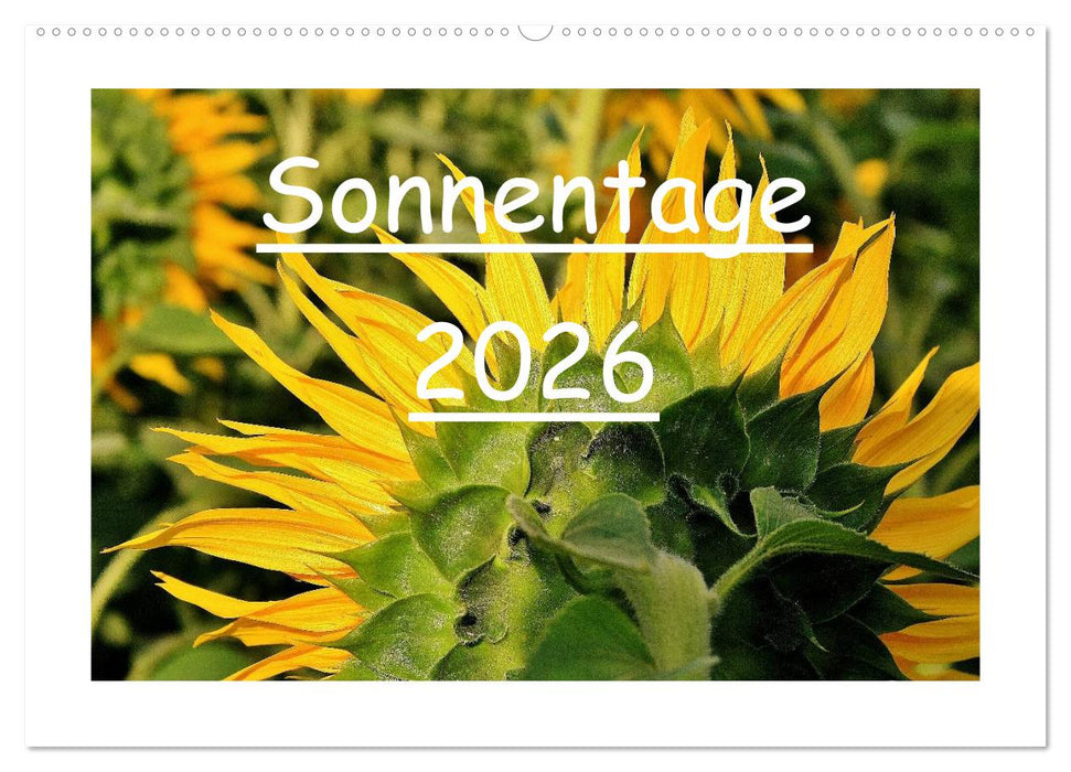 Sonnentage 2026 (CALVENDO Wandkalender 2026)