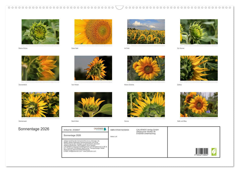 Sonnentage 2026 (CALVENDO Wandkalender 2026)