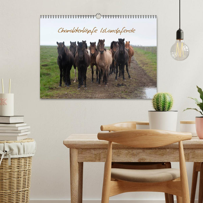Charakterköpfe Islandpferde (CALVENDO Wandkalender 2026)