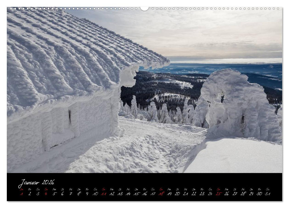 Bayerischer Wald (CALVENDO Premium Wandkalender 2026)