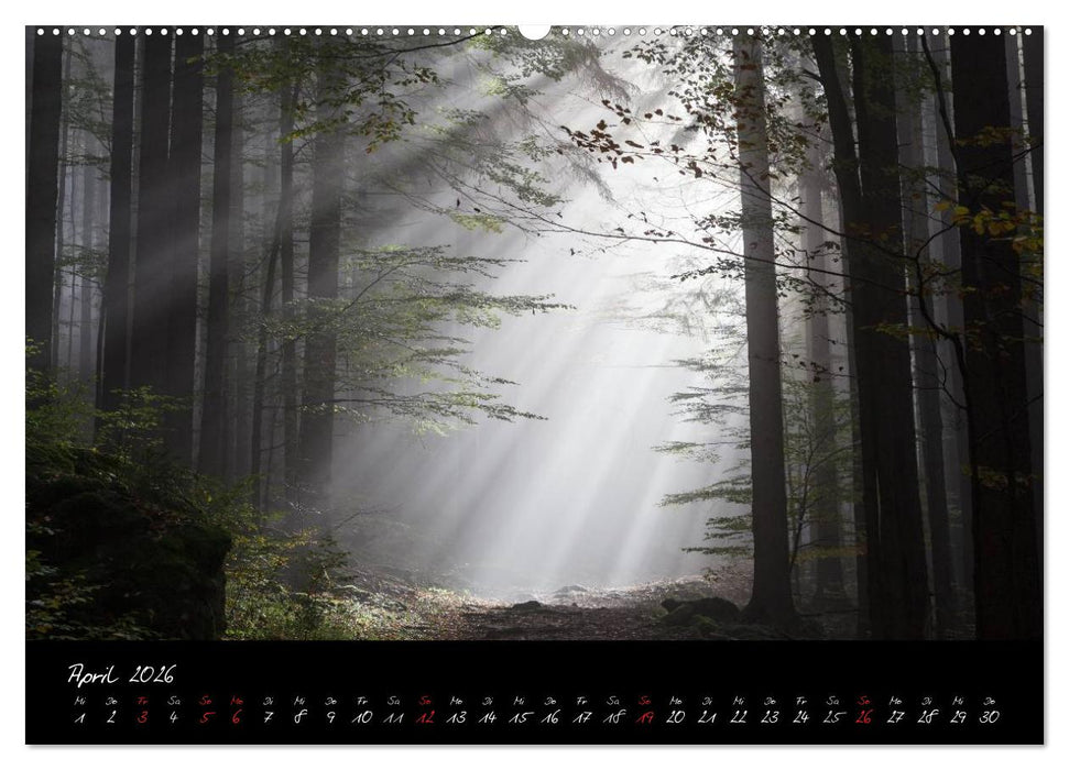 Bayerischer Wald (CALVENDO Premium Wandkalender 2026)