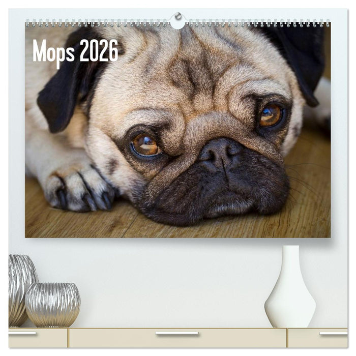 Mops 2026 (CALVENDO Premium Wandkalender 2026)