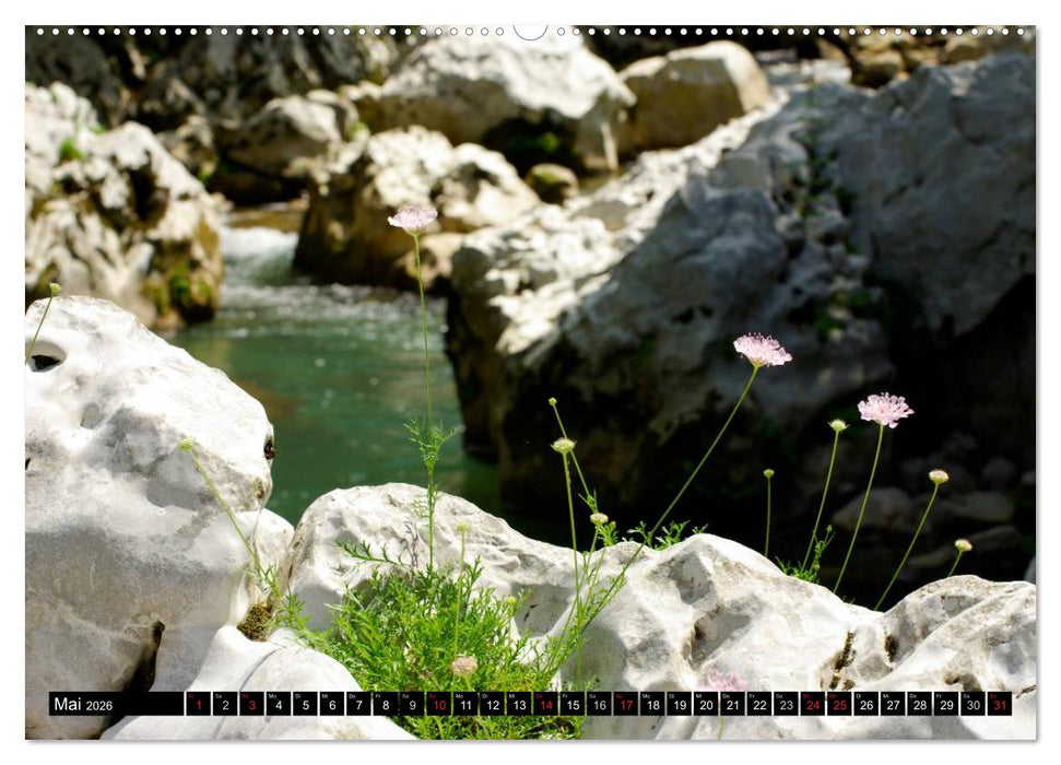 Kampanien – Capri und der Cilento (CALVENDO Premium Wandkalender 2026)