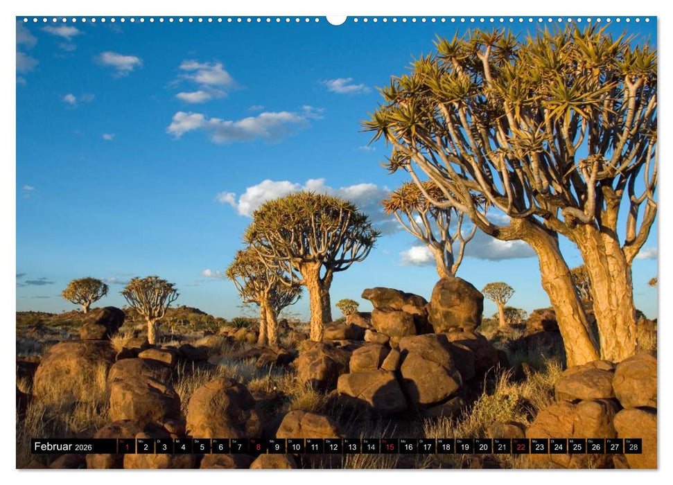 Faszination Namibia (CALVENDO Premium Wandkalender 2026)