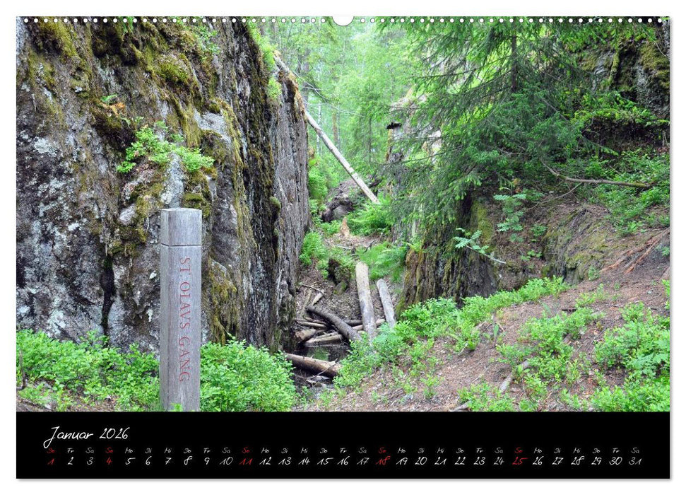 Der Olavsweg (CALVENDO Premium Wandkalender 2026)