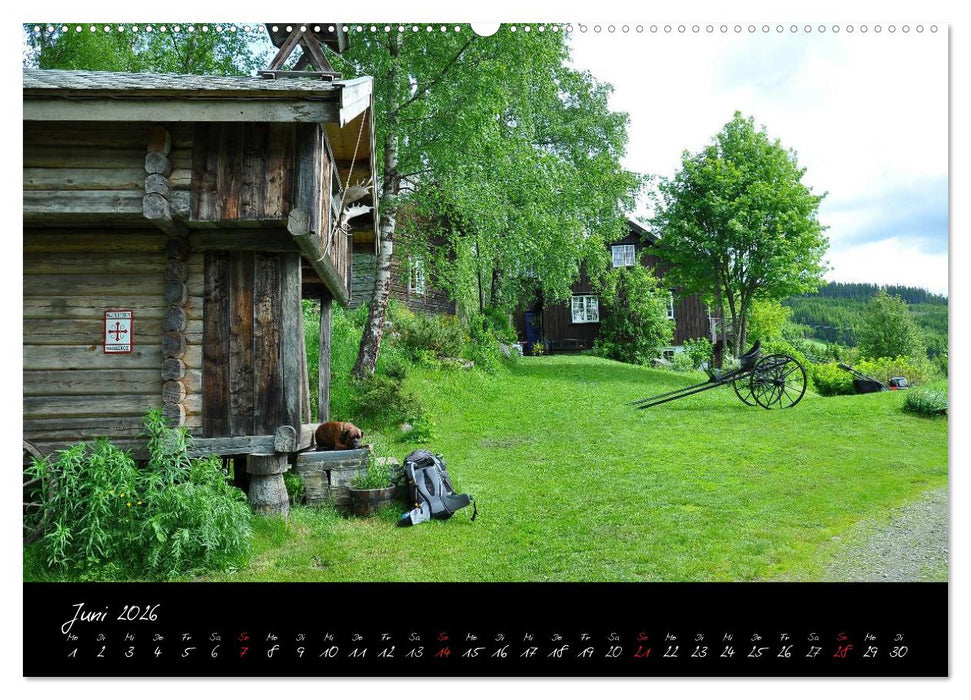 Der Olavsweg (CALVENDO Premium Wandkalender 2026)