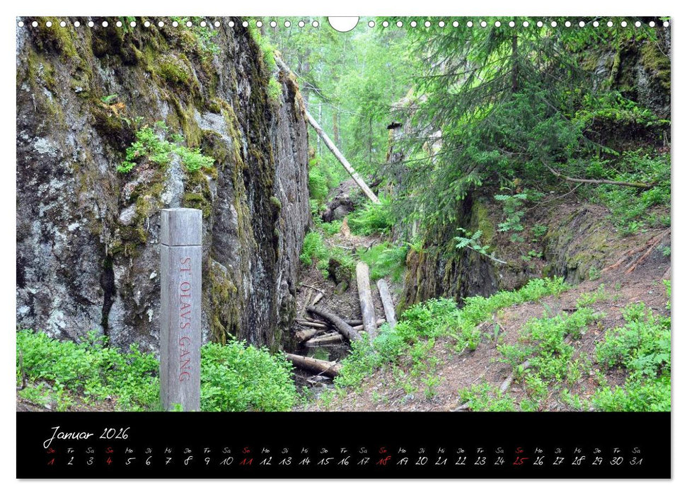 Der Olavsweg (CALVENDO Wandkalender 2026)