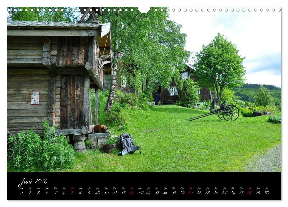 Der Olavsweg (CALVENDO Wandkalender 2026)