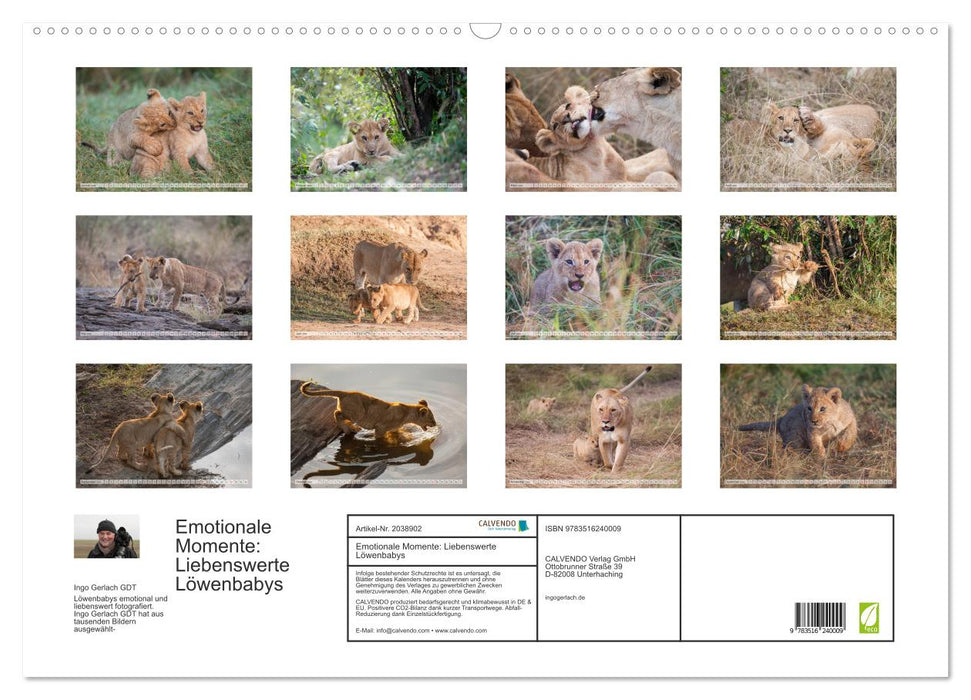 Emotionale Momente: Liebenswerte Löwenbabys (CALVENDO Wandkalender 2026)