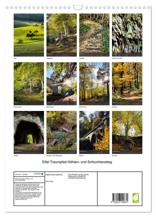 Eifel Traumpfad Höhlen- und Schluchtenstieg (CALVENDO Wandkalender 2026)