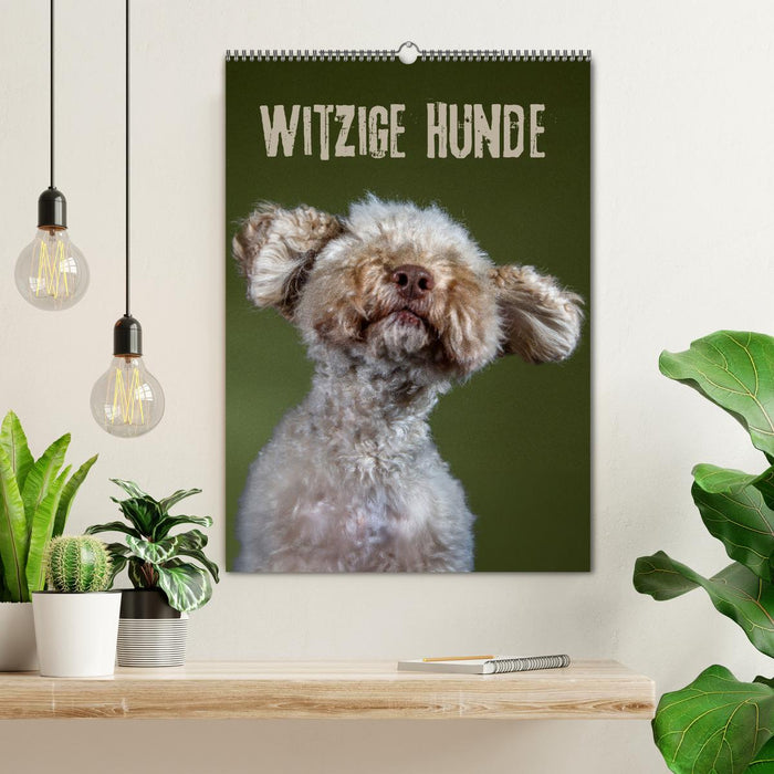 Witzige Hunde (CALVENDO Wandkalender 2026)