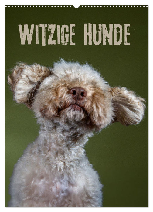 Witzige Hunde (CALVENDO Wandkalender 2026)