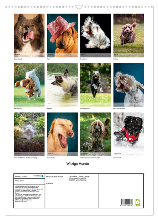 Witzige Hunde (CALVENDO Wandkalender 2026)