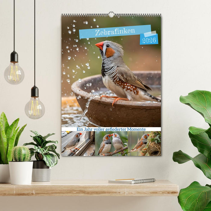 Zebrafinken - Ein Jahr voller gefiederter Momente (CALVENDO Wandkalender 2026)