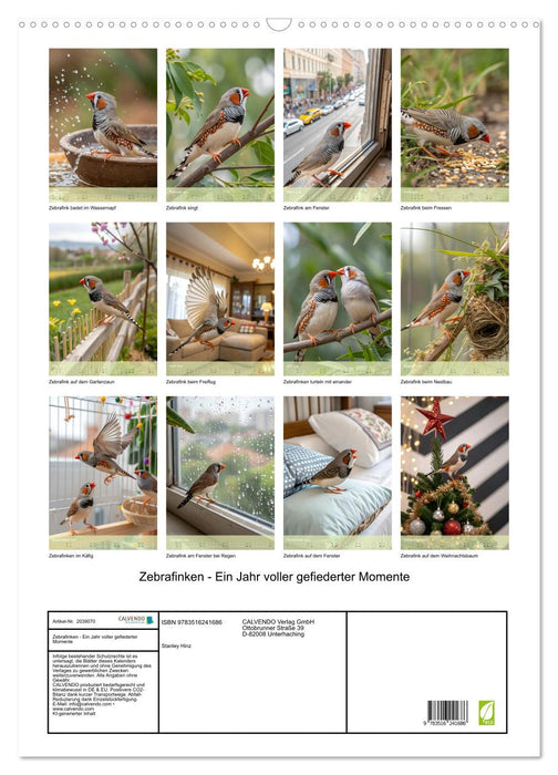 Zebrafinken - Ein Jahr voller gefiederter Momente (CALVENDO Wandkalender 2026)