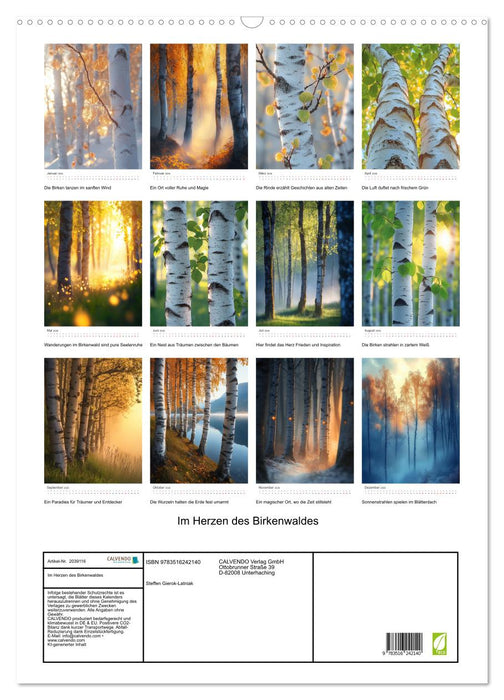 Im Herzen des Birkenwaldes (CALVENDO Wandkalender 2026)