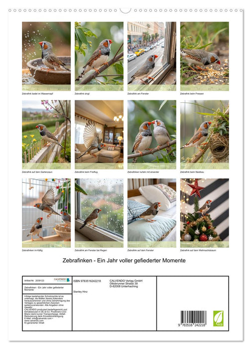 Zebrafinken - Ein Jahr voller gefiederter Momente (CALVENDO Premium Wandkalender 2026)