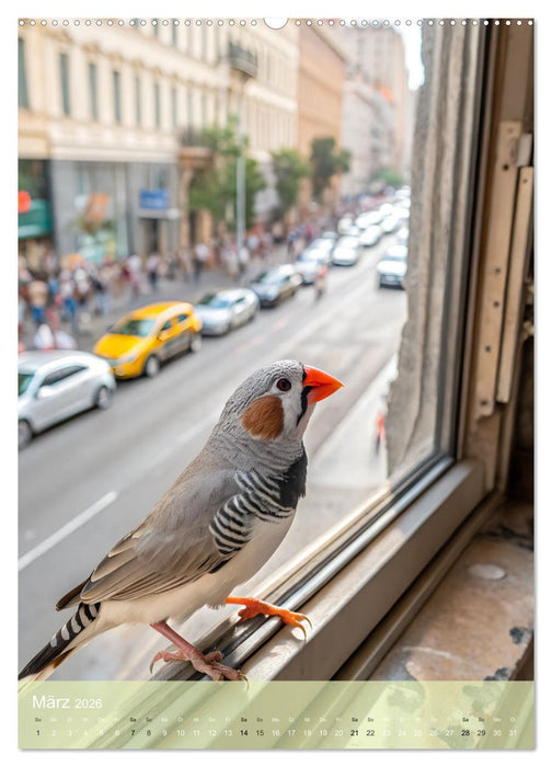 Zebrafinken - Ein Jahr voller gefiederter Momente (CALVENDO Premium Wandkalender 2026)