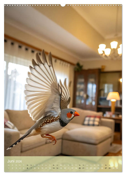 Zebrafinken - Ein Jahr voller gefiederter Momente (CALVENDO Premium Wandkalender 2026)