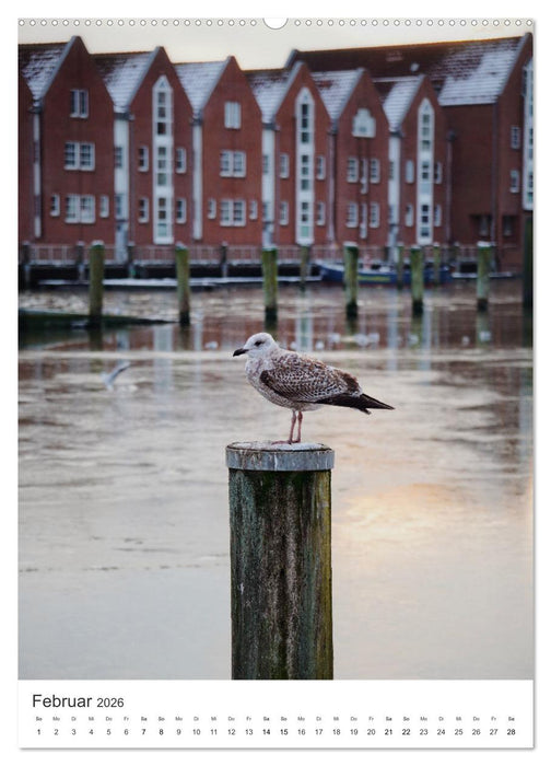 Husum - graue Stadt am Meer (CALVENDO Premium Wandkalender 2026)